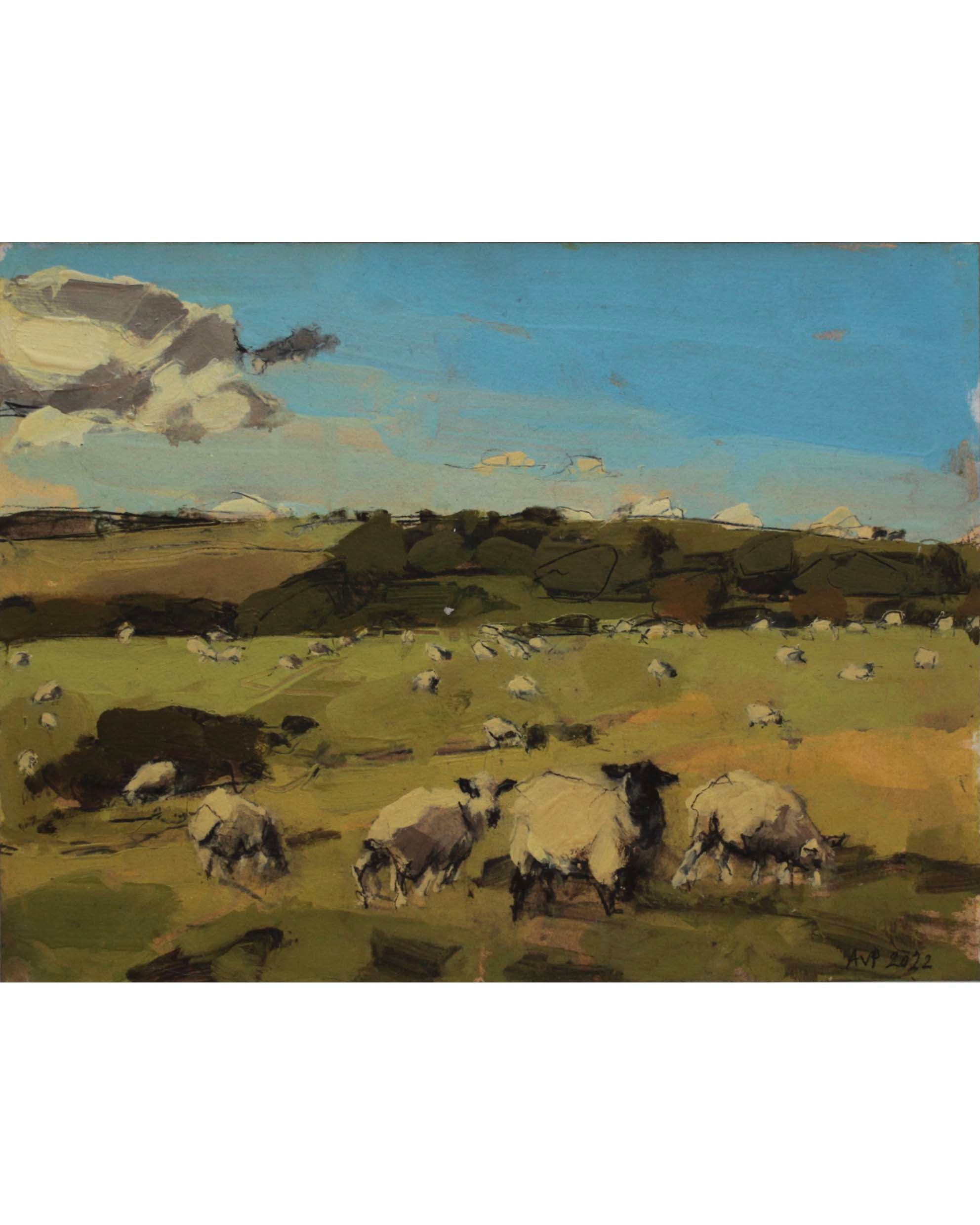 Sheep Southdowns, October III | Anna Pinkster