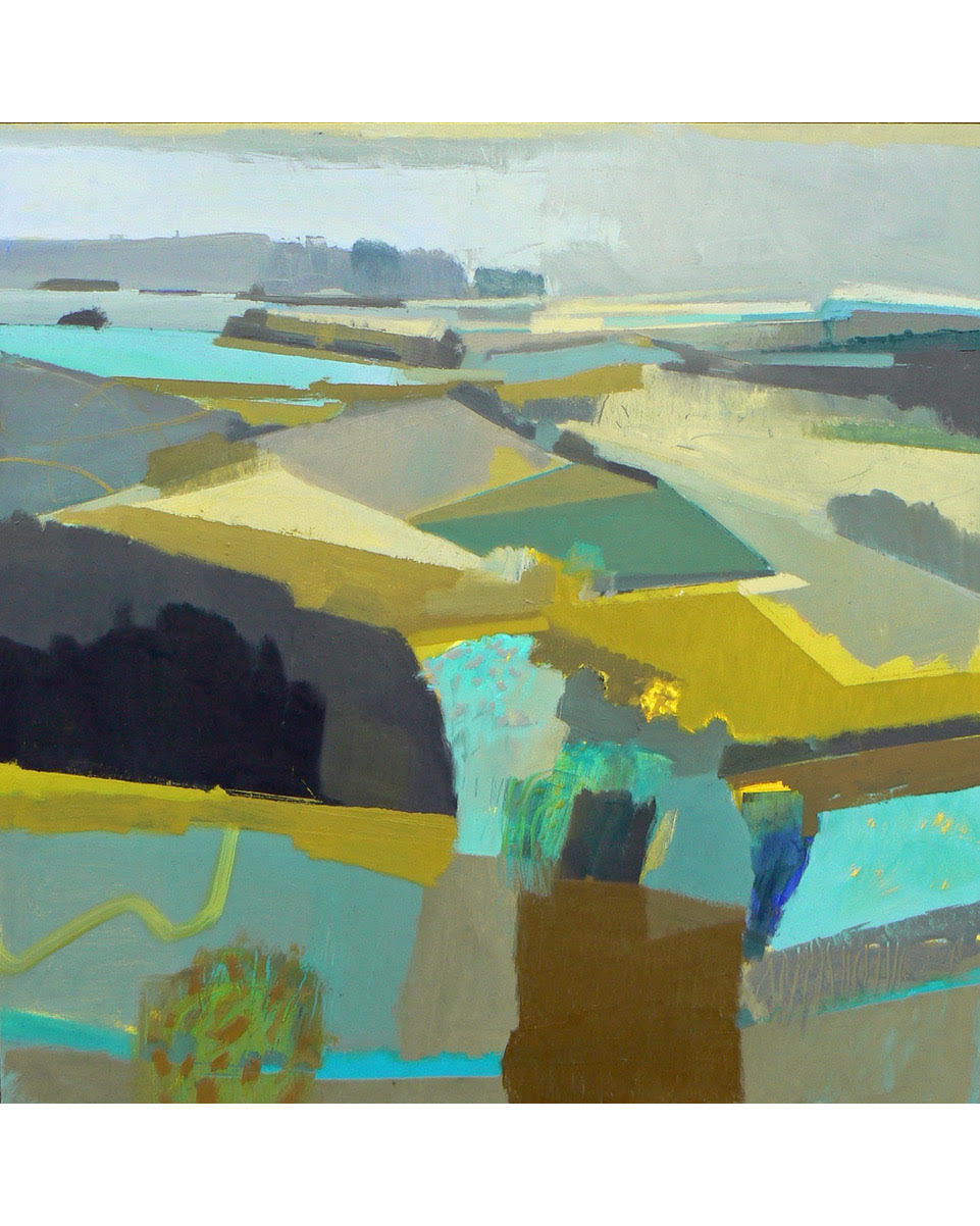 Campos de verano | malcolm ashman