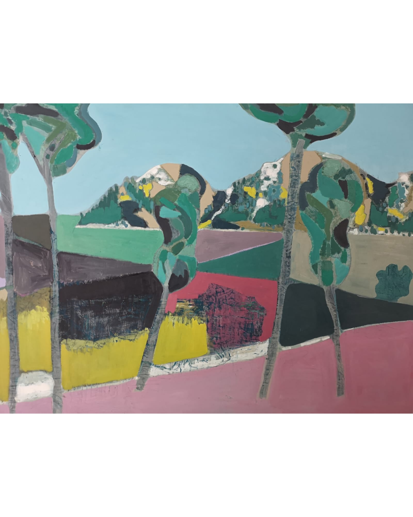 Terreno Dividido | nick carrick 