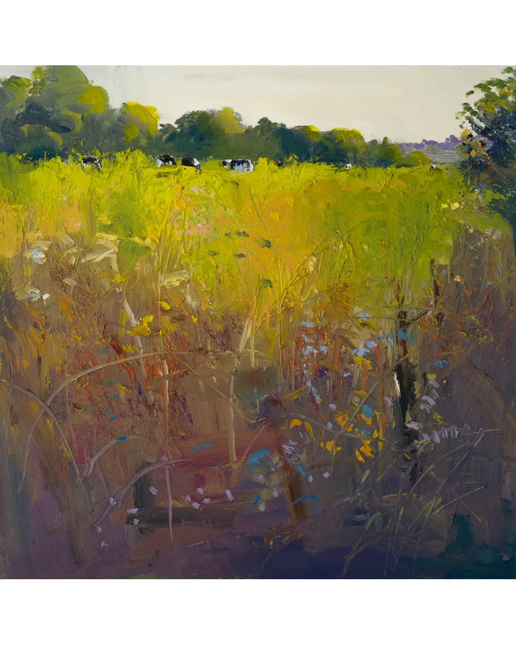 Summer Hedgerows | Robert Newton